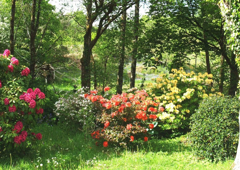 Inverawe Cottages Taynuilt Kültér fotó